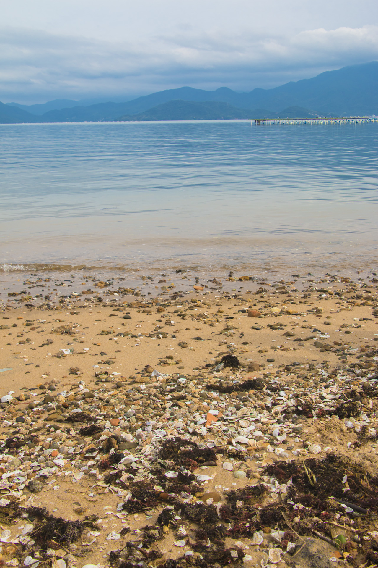 LIVE – WORK – TRAVEL